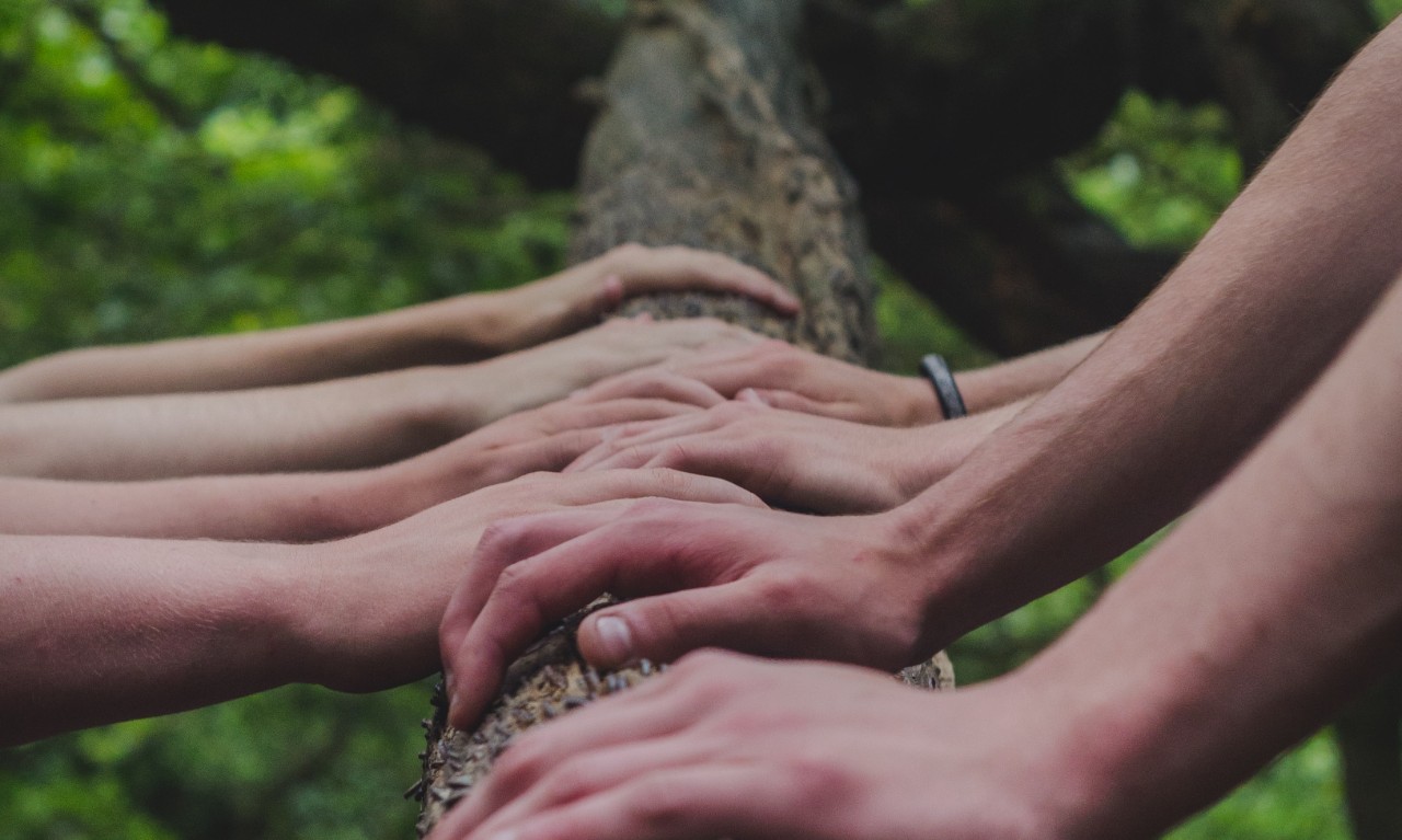 Hands placed on a tree trunk