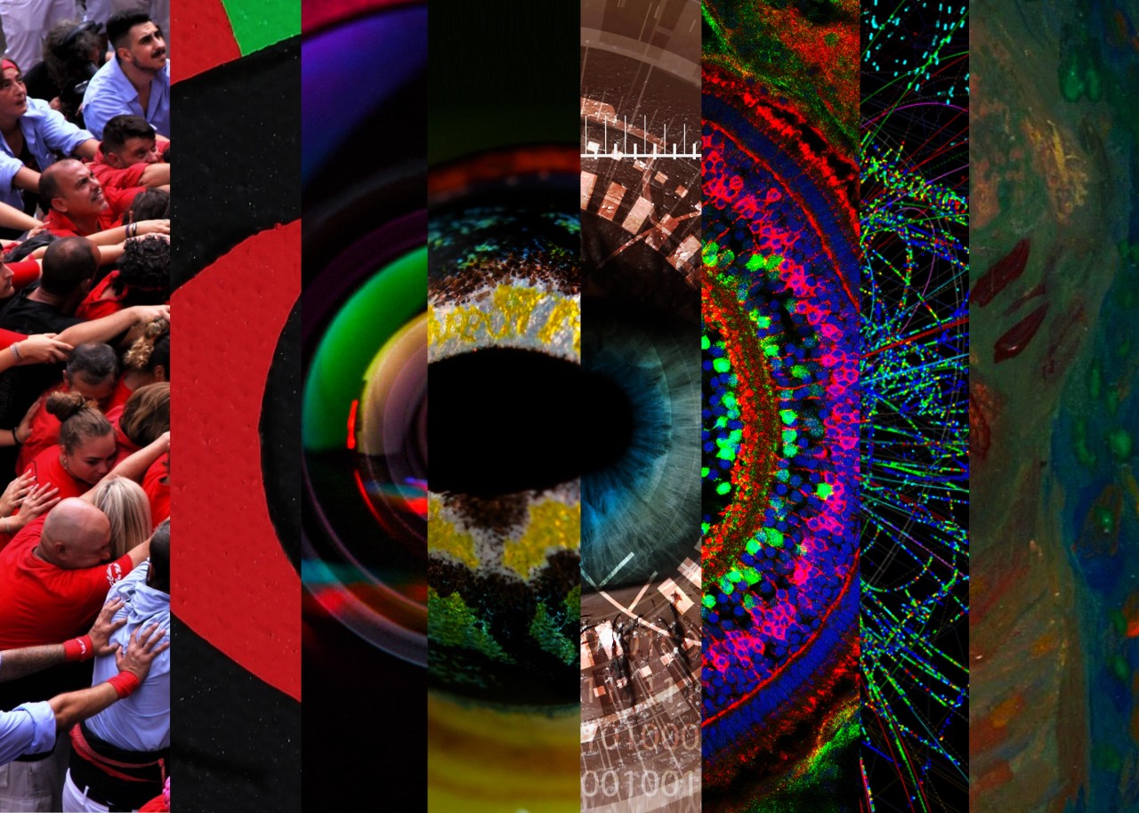 Collage of images that together make up a large eye, including images of camera lenses, crowds of people, animal eyes, confocal microscope images, and paintings of human eyes.